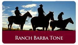 barba-tone